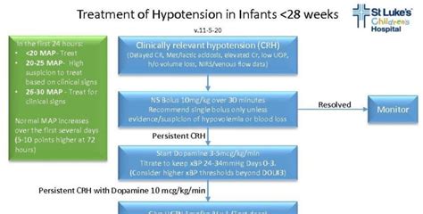 Nicu Elbw Hypotension Treatment Algorithm Neonatology Solutions