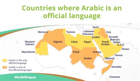 How Many Countries Speak Arabic? (Full List of Arabic Countries)