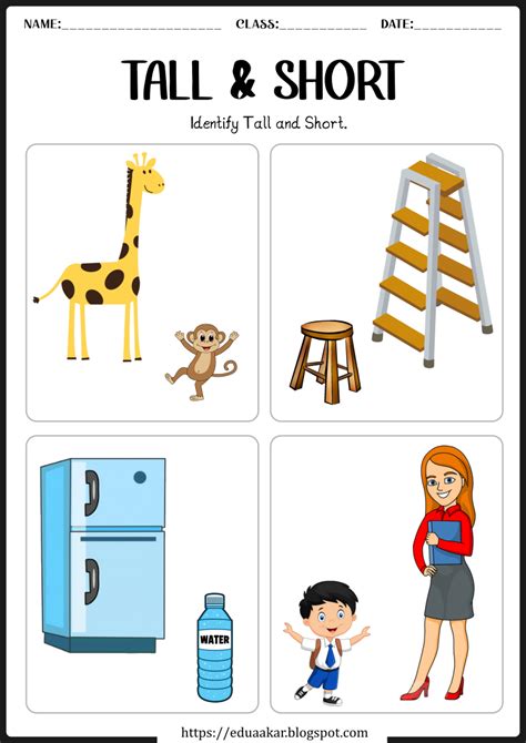 Tall And Short Worksheet Learning Colors Activities English Activities