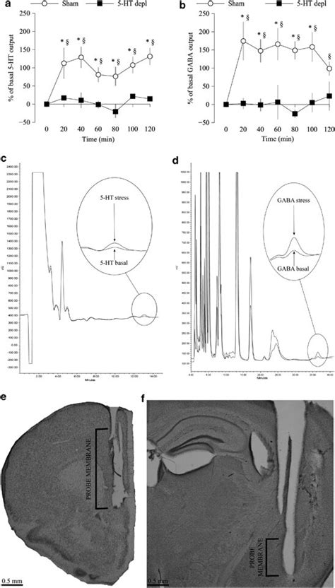 Effects Of Selective Prefrontal Cortical 5 Hydroxytryptamine 5 Ht