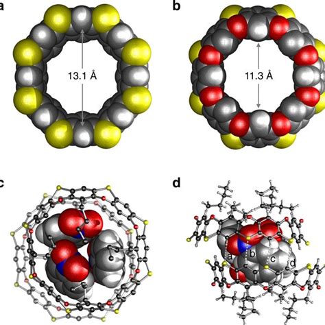 Single Crystal X Ray Structure Of 1 A Space Filling Model View From The