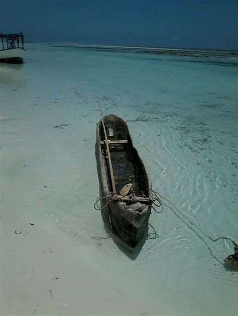 Malindi Marine National Park | Marine national park, National parks, Kenya