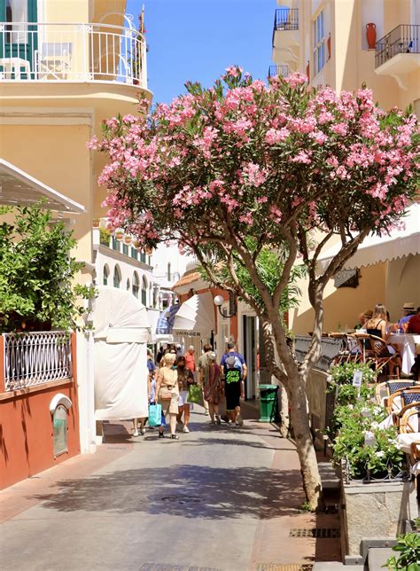 One Day In Capri, Itinerary & Day Trip Guide - The Geographical Cure