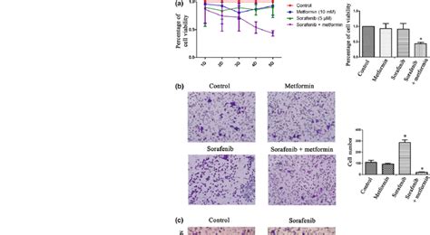 Combination Of Sorafenib With Metformin Inhibited The Proliferation And