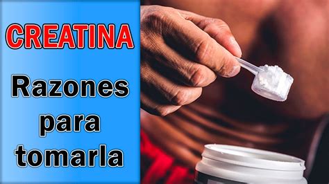 Beneficios De La Creatina Por Qu Utilizarla