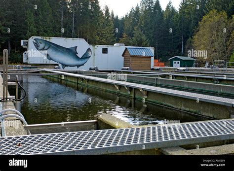 Follow The Signs To The Hatchery Hi Res Stock Photography And Images