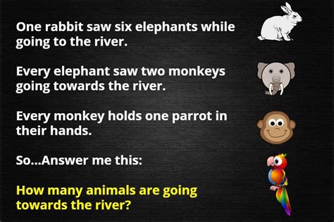 One Rabbit Saw Six Elephants Riddle Answer Riddlester