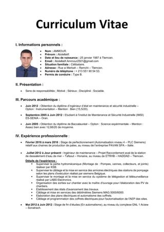 Curriculum Vitae Abdellatif Ammour Pdf