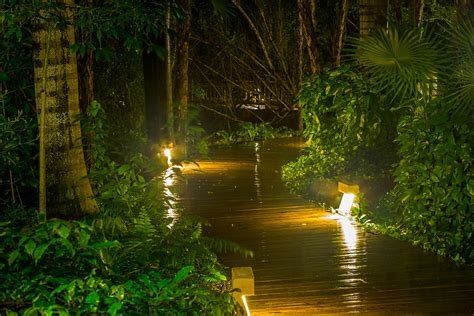 Jungle Walkway Photograph By Tony Noto Fine Art America