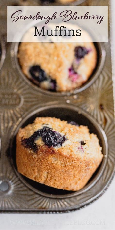 Blueberry Muffin Recipe With Sourdough Starter Artofit