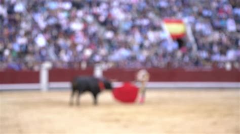 Bullfighting Images – Browse 38,283 Stock Photos, Vectors, and Video ...