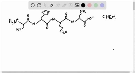 Solved Draw The Complete Structures Of The Following Peptides A