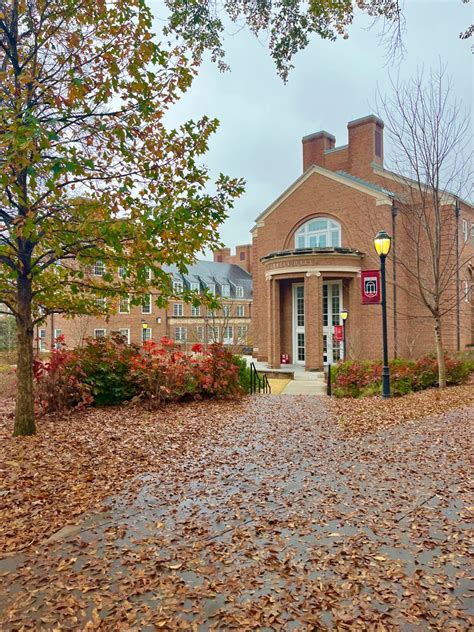 Univ Of Georgia Artofit