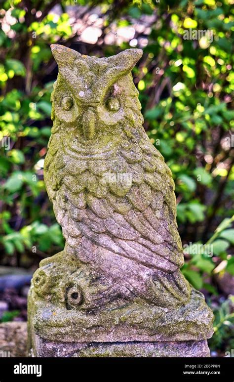 Stone Owl Statue Hi Res Stock Photography And Images Alamy