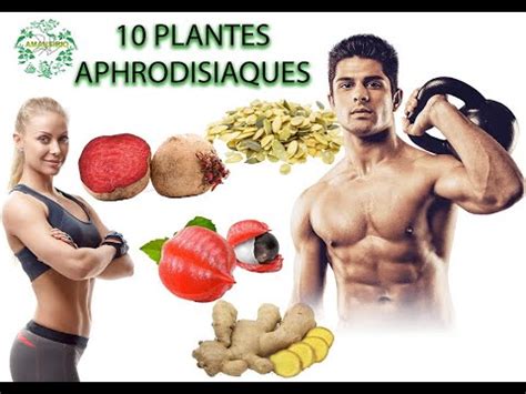 Top Des Plantes Aphrodisiaques Africaines Amansibio Youtube