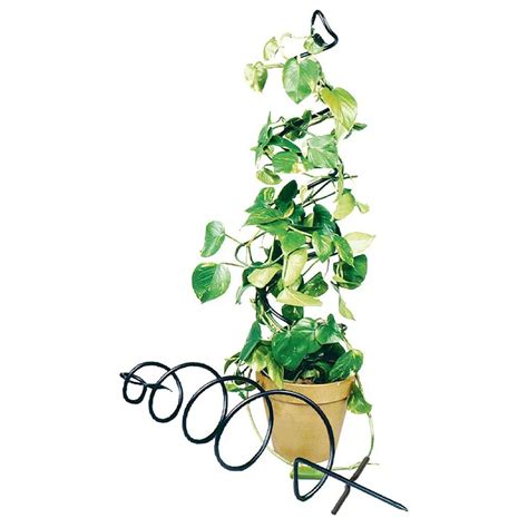 Encourage Your Vining Or Tall Plants To Grow Upward With The Spiral