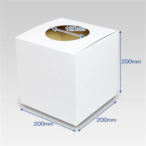 抽選ボックス くじ引き箱 つかみ取り箱 回収箱 応募箱 投票箱 ダンボール 段ボール 無地 イベント 抽選箱 丸穴タイプ 白 50枚セット
