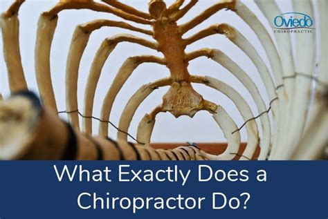 What Does A Chiropractor Do Oviedo Chiropractic