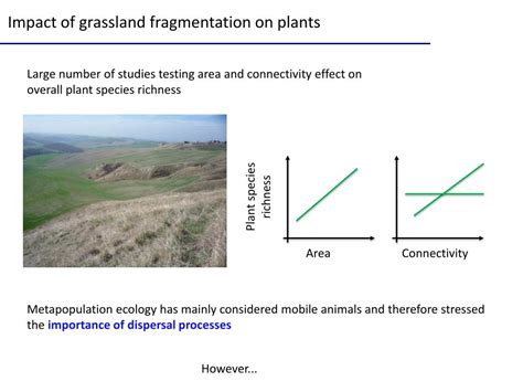 PPT Impacts Of Habitat Fragmentation On Plant And Insect Communities