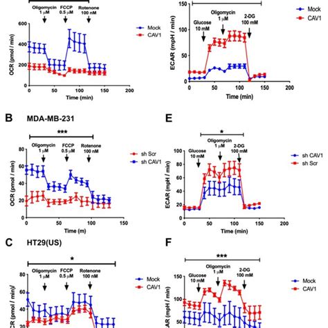 Caveolin-1 expression decreased oxygen consumption and increased the ... 
