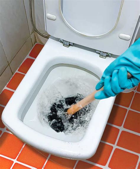 Come Sturare I Wc Con Bicarbonato E Aceto Bianco Trucchi Casa E Giardino