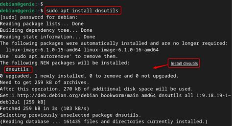 How To Install Nslookup On Debian 12 Linux Genie