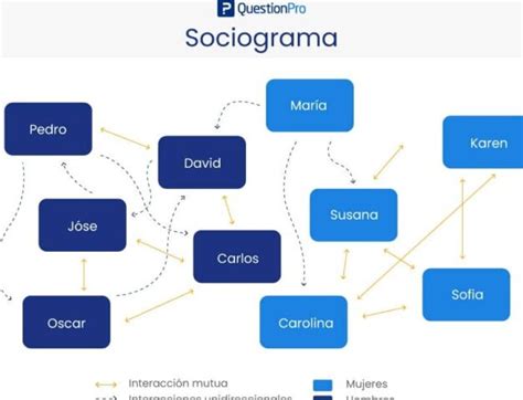 Sociograma Qué Es Definición Y Concepto