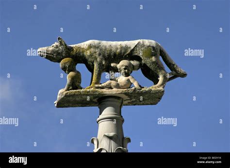 Sculpture Of Wolfe With Romulus Remus On Column In Siena Hi Res Stock