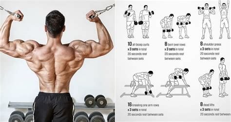 Back And Biceps The Best Workout Combination Fitness Workouts And Exercises