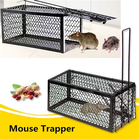 Black Metal Mouse Trap Pests Control | Alexnld.com