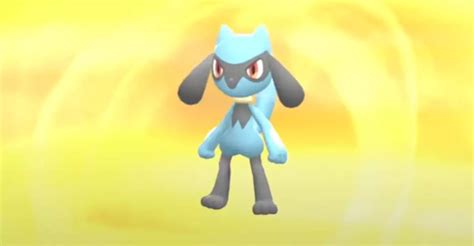 Wie Man Riolu In Pok Mon Strahlender Diamant Und Leuchtende Perle Zu