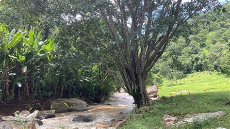 Ribeirão Três Irmãos em Cambuí MG YouTube