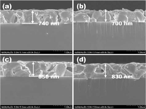 Cross Sectional FE SEM Images Of BaWO 4 Dy 3 Thin Films Grown At A