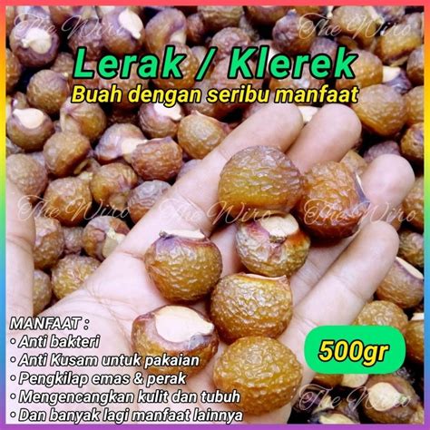 Jual Buah Lerak Klerek Shopee Indonesia