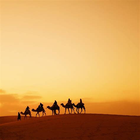 Atlas Discovery Tours Casablanca Alles Wat U Moet Weten Voordat Je