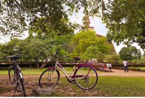From Polonnaruwa Ancient City Of Polonnaruwa By Bike Getyourguide
