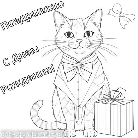 Раскраски с Днем Рождения (45 шт)
