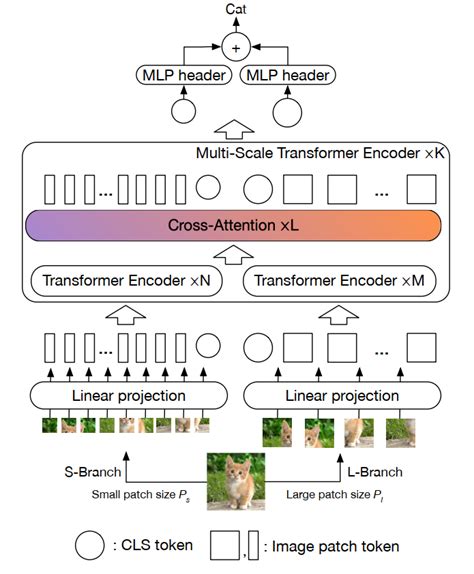 Mit提出crossvit：交叉注意力多尺度视觉transformer 知乎