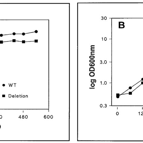 Growth Curves For Wild Type C Glutamicum And The Pora Mutant Shown On