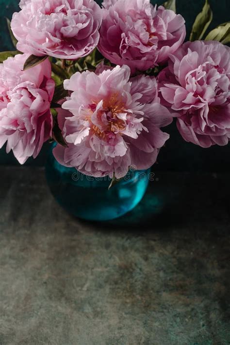 Background With Pink Peonies In Vase Stock Photo Image Of Wallpaper