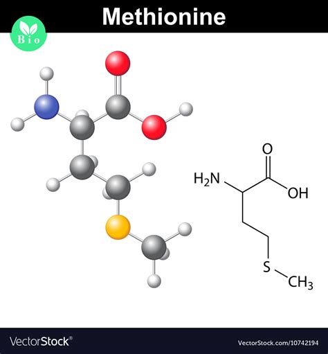 Methionine Amino Acid Structure