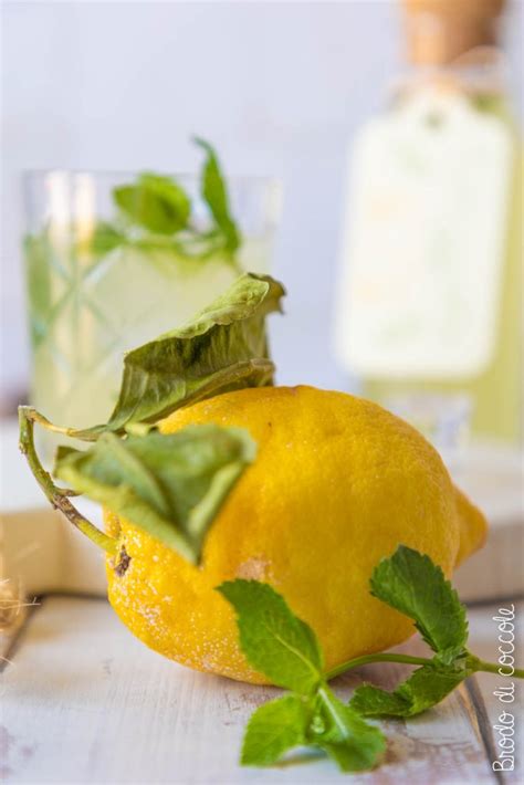 Limonata Alla Menta Brodo Di Coccole