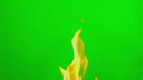 Fire Flame Slow Motion On Green Screen B Stock Video Pond