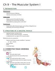 Ch 9 The Muscular System Docx Ch 9 The Muscular System I 1