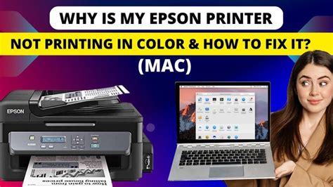 Why Is My Epson Printer Not Printing In Color And How To Fix It Mac