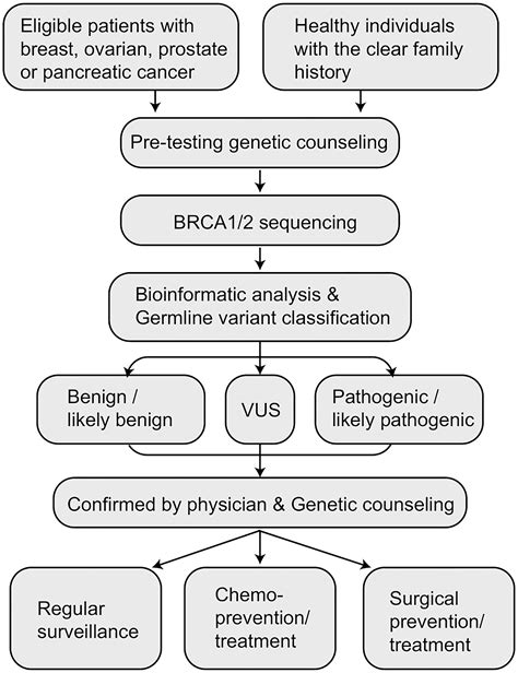 Frontiers Overview On Population Screening For Carriers With Germline