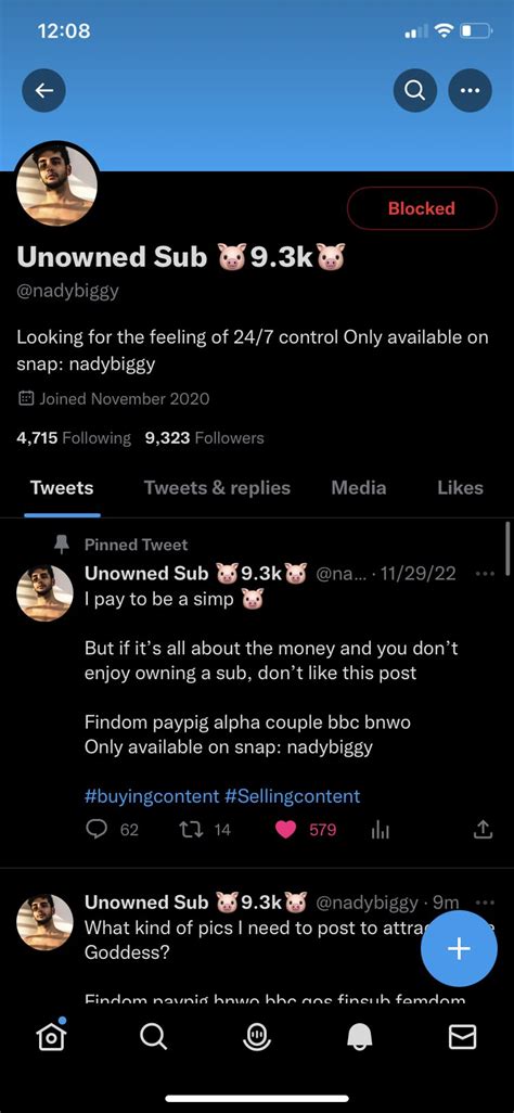 Ebony Goddess On Twitter Findom Community Its Giving Scammer Alert