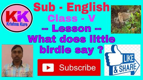 What Does Little Birdie Say Question Answer Class 5krishnakure