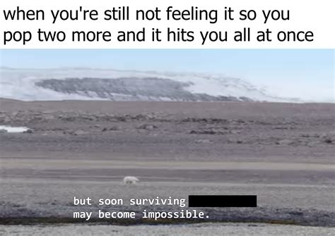 Oh Fuck It R Drugmemes