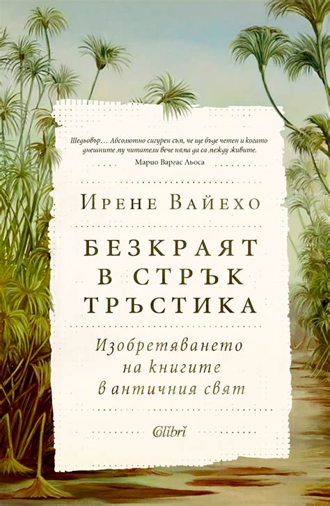Ирене Вайехо и „Безкраят в стрък тръстика“ - cineboom - сайт за кино ...